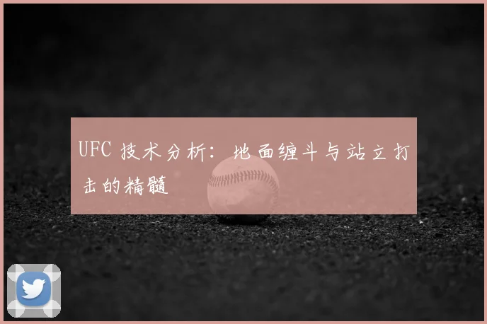 UFC 技术分析:地面缠斗与站立打击的精髓